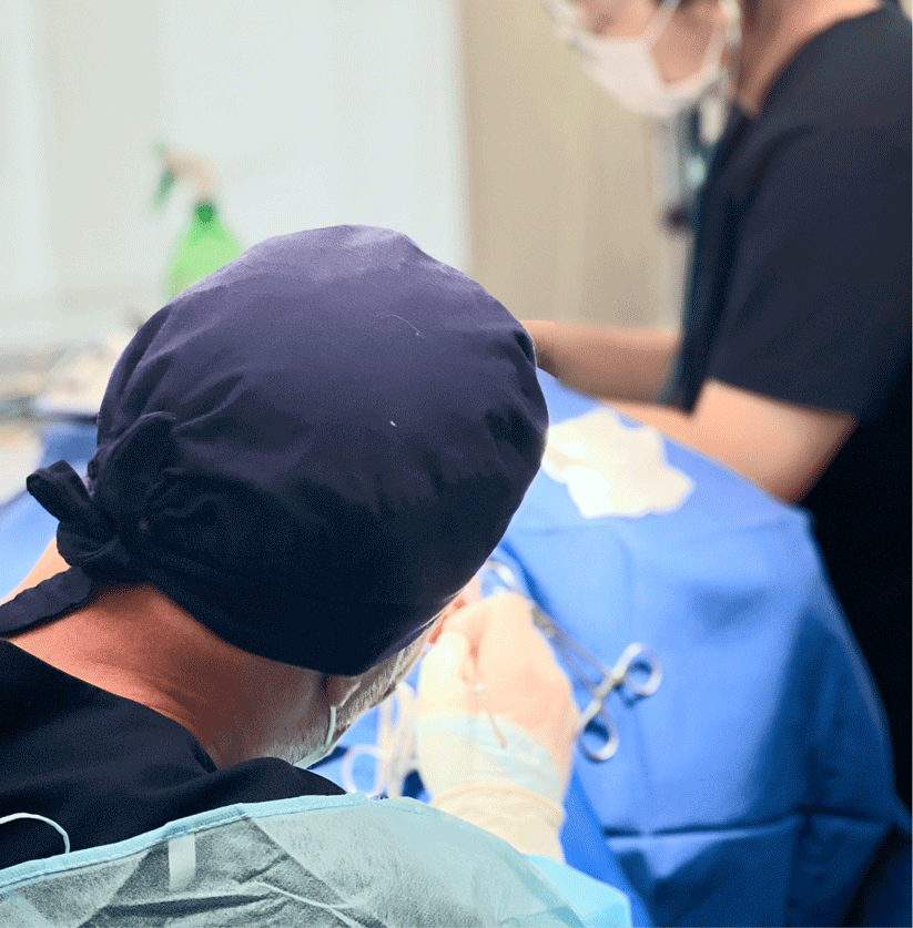 Mass Removal: Safeguarding Your Dog’s Health