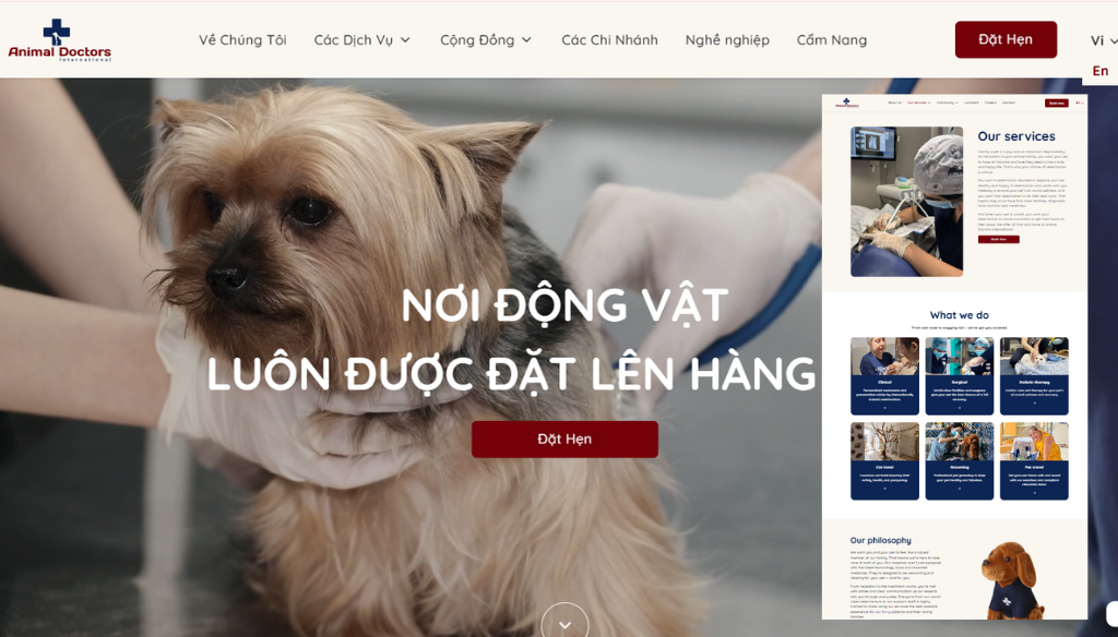 Case study 3: Animal Doctors International
