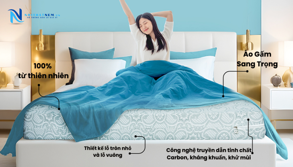 Công Ty Nội Thất Nệm Cao Cấp - Nội Thất Nệm