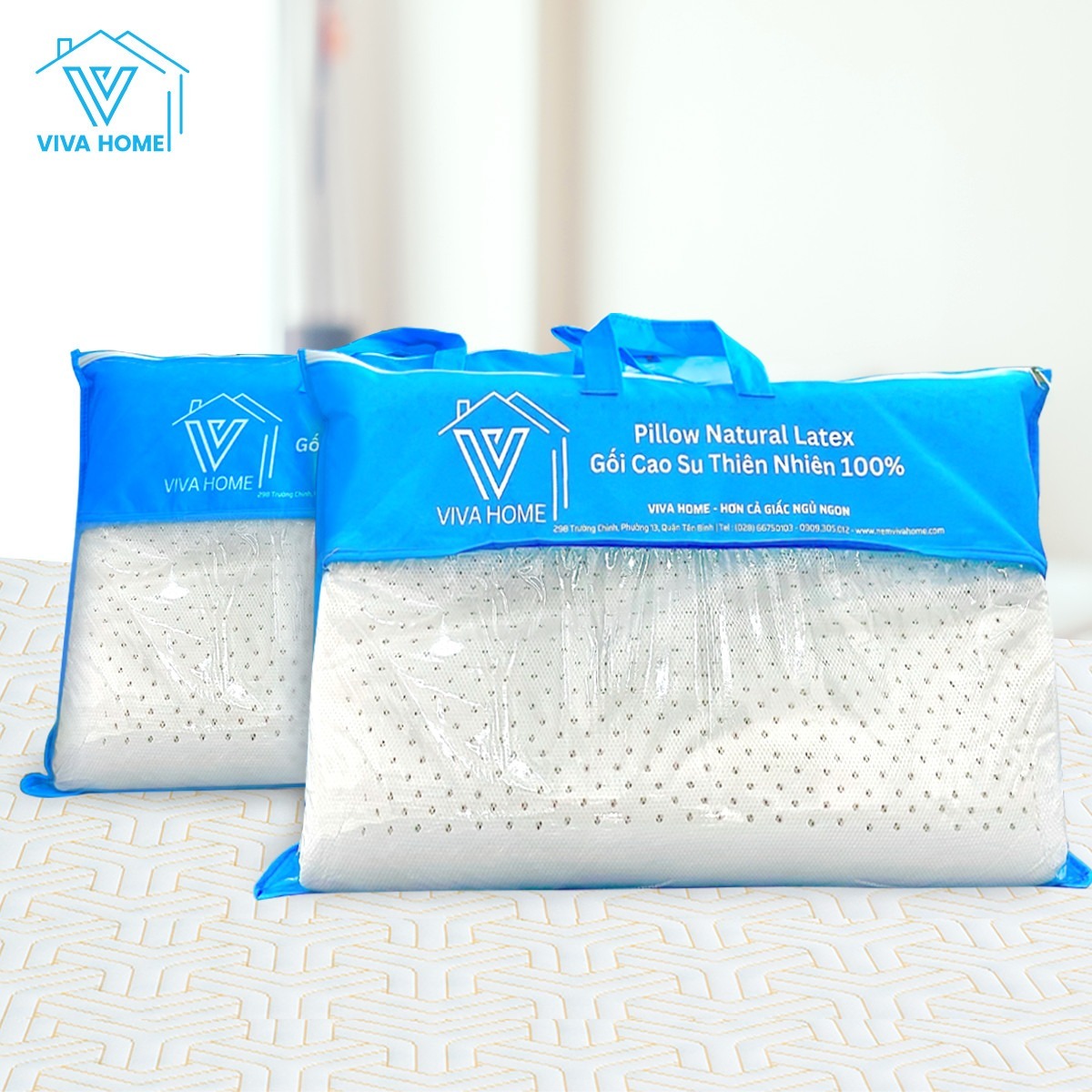 Cửa hàng nệm cao su tỉnh Bình Định