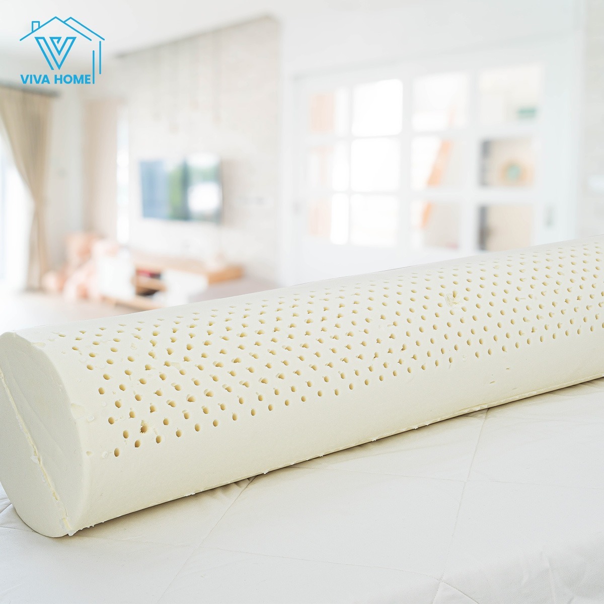Cửa hàng nệm cao su tỉnh Bình Định
