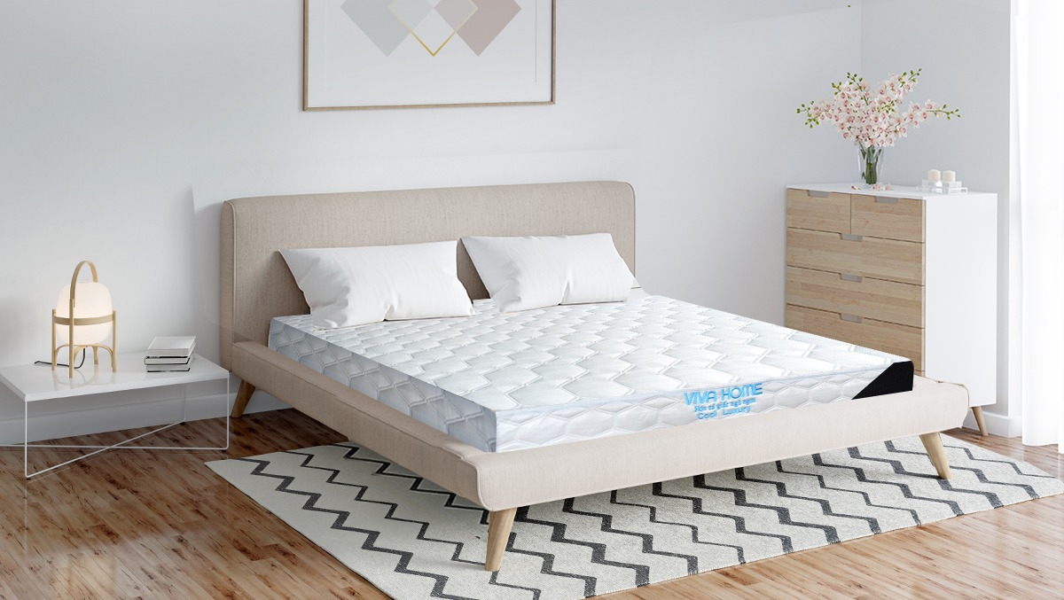 Thị trường nệm Việt Nam