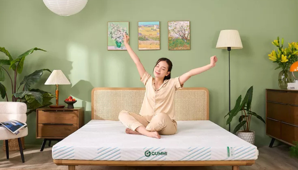 thị trường nệm Việt Nam