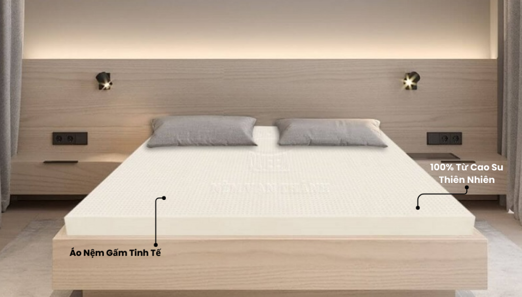 thị trường nệm Việt Nam