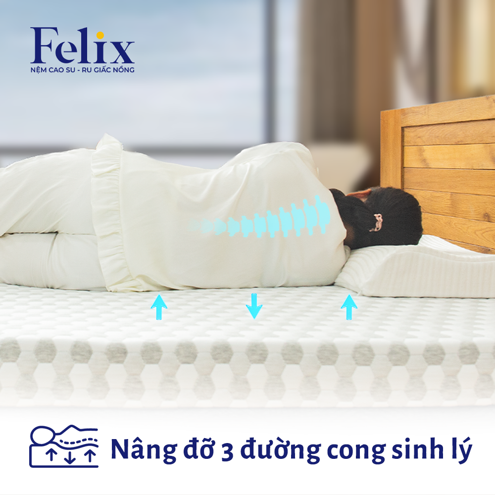 thị trường nệm Việt Nam