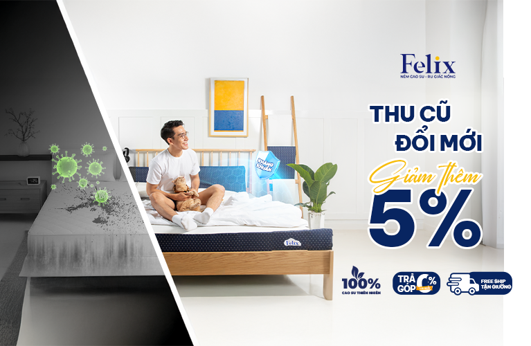 thị trường nệm Việt Nam