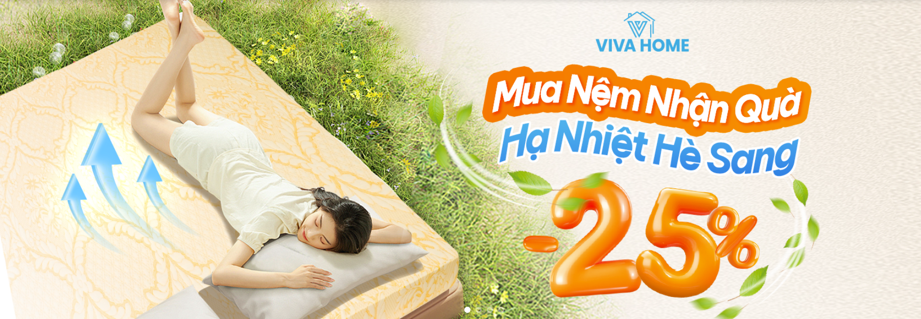 Thị trường nệm Việt Nam
