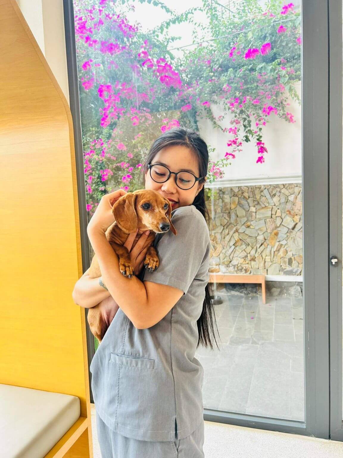 Dog Surgery Vietnam