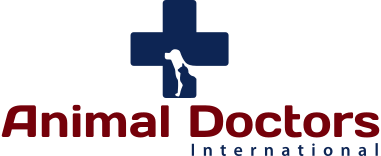 low cost pet vaccination