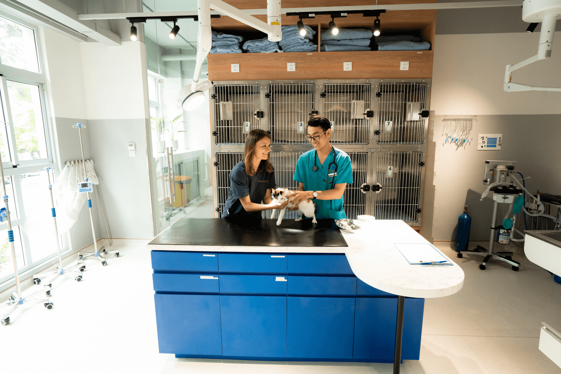 pet check up