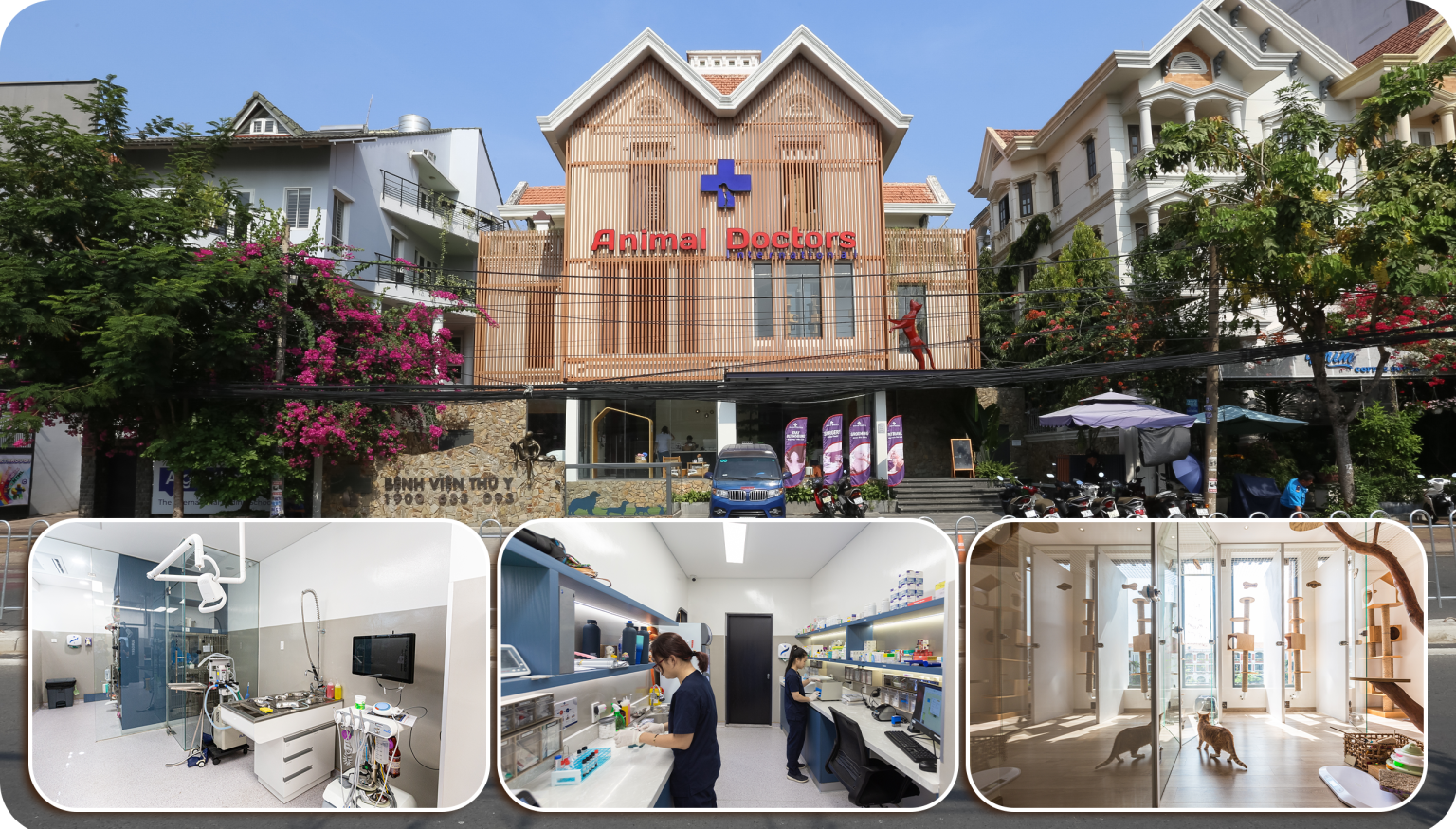 bệnh viện cho chó ngoại