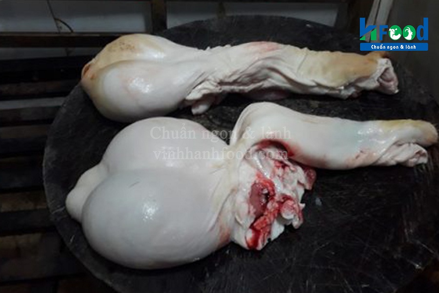 ngọc dương dê tươi