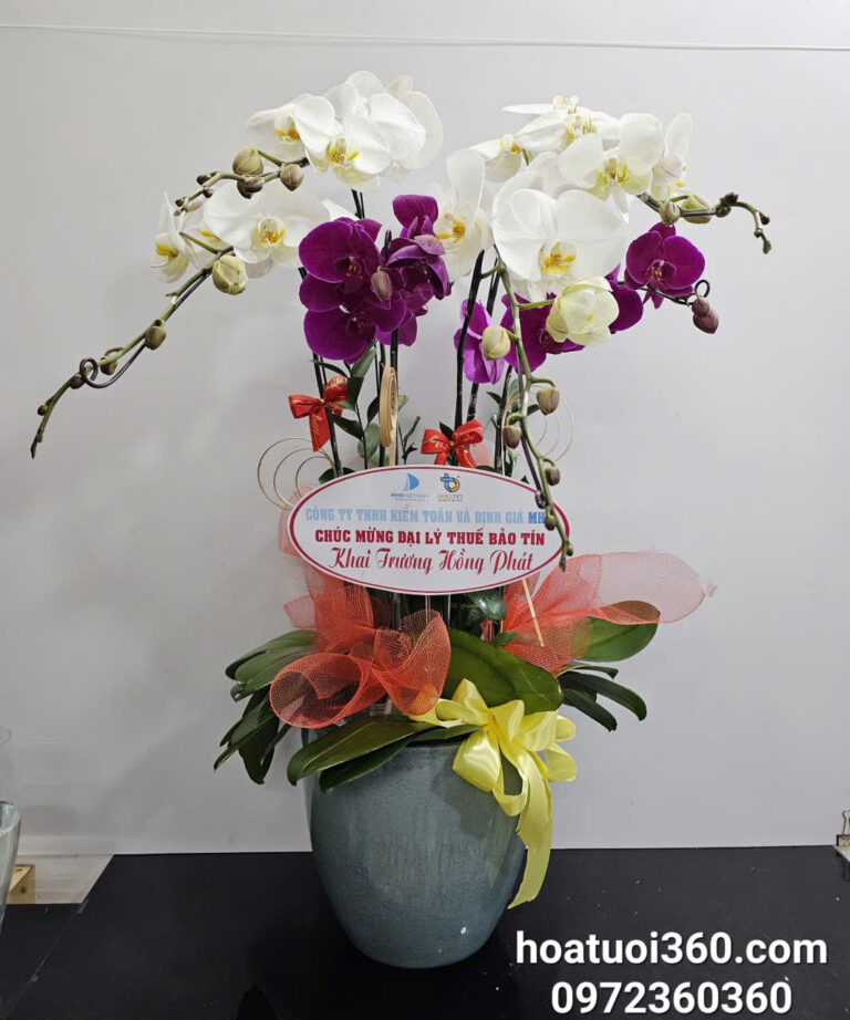 Shop hoa tươi quận 3