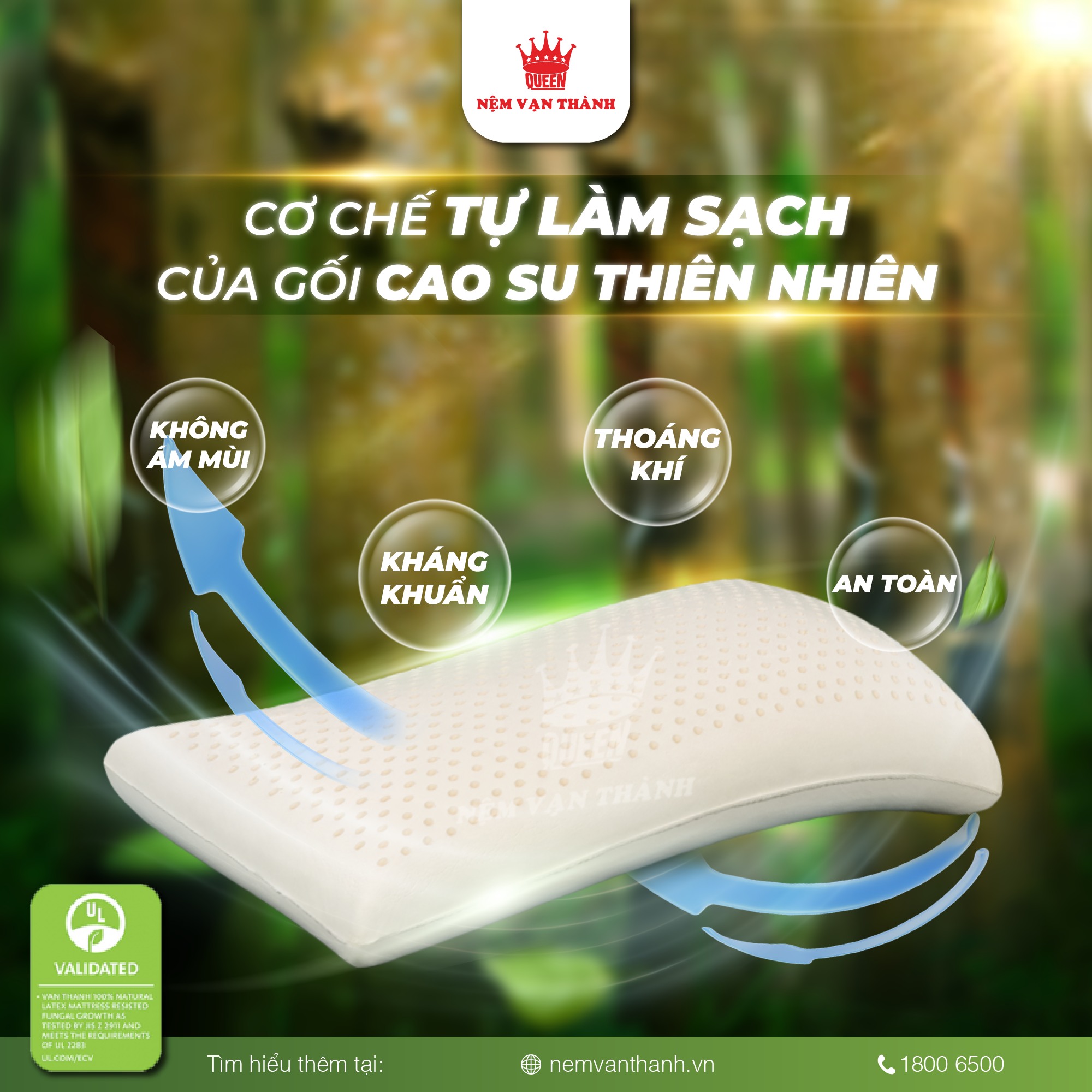 Ưu Đãi Nệm Vạn Thành Và Nệm Felix
