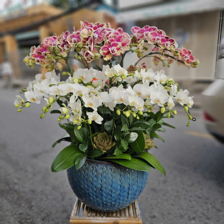 shop hoa tươi Nguyễn Thị Thập quận 7
