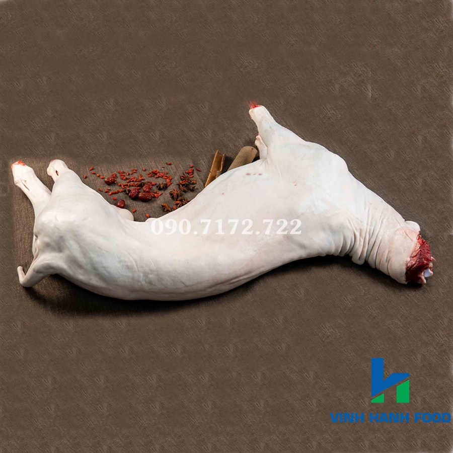 Cừu đực tơ