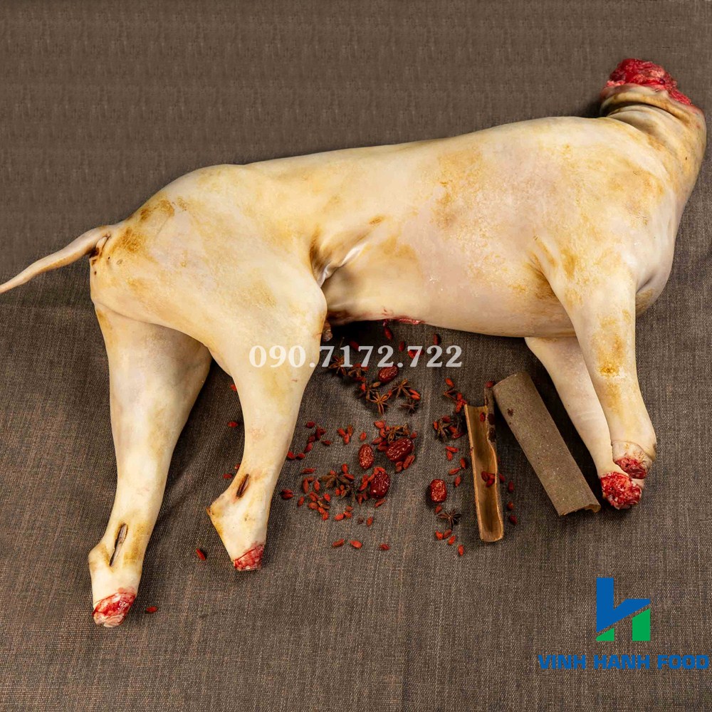 Cừu đực tơ