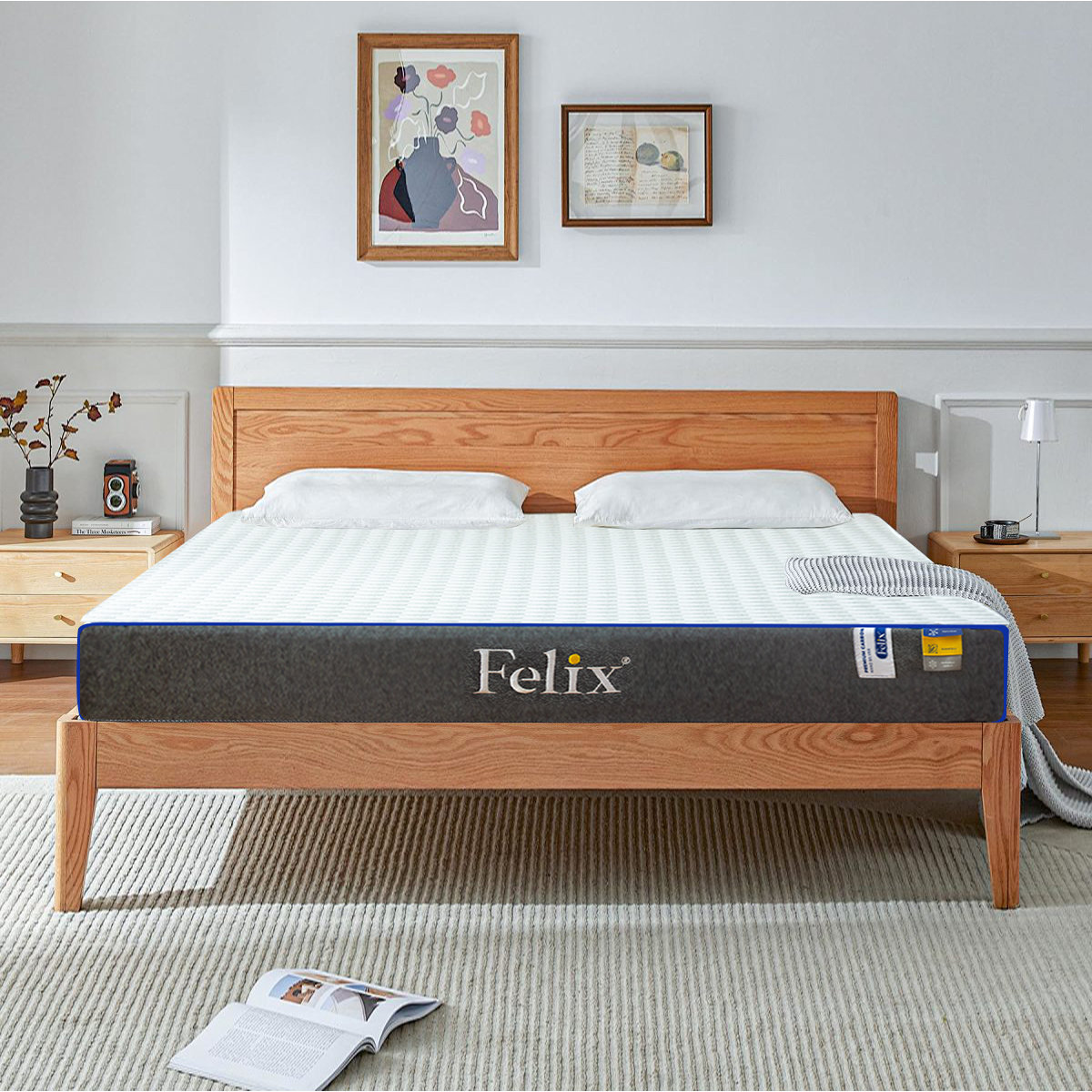 Nệm cao su than hoạt tính từ Felix
