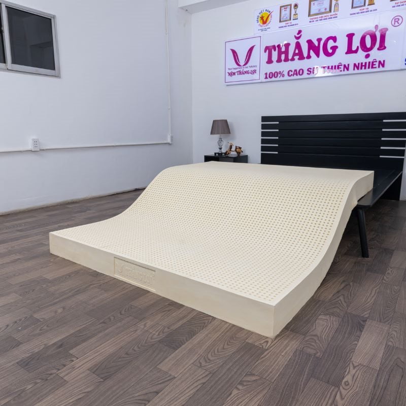 Nệm cao su Thắng Lợi có tốt không