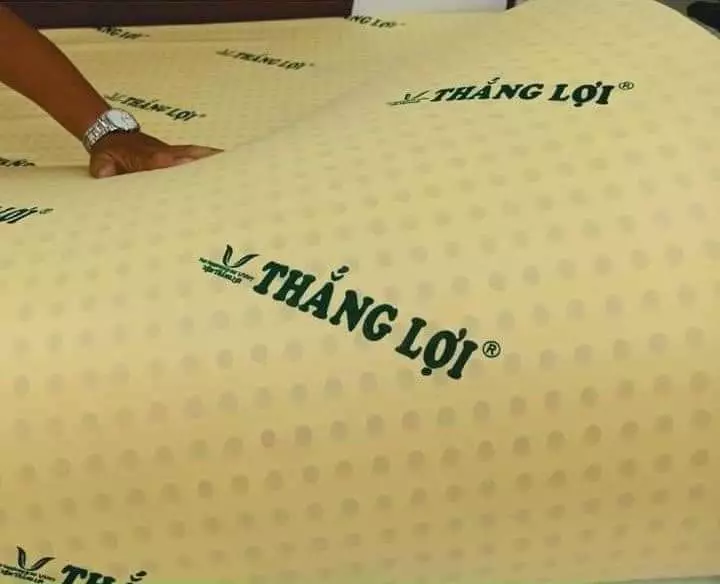 Nệm cao su Thắng Lợi có tốt không