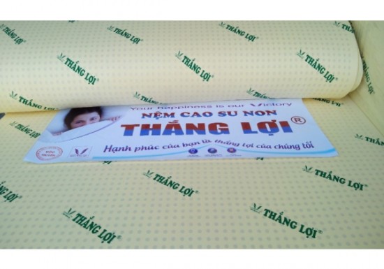 Nệm cao su Thắng Lợi có tốt không