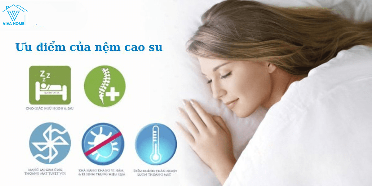 Cửa hàng nệm cao su quận Tân Bình