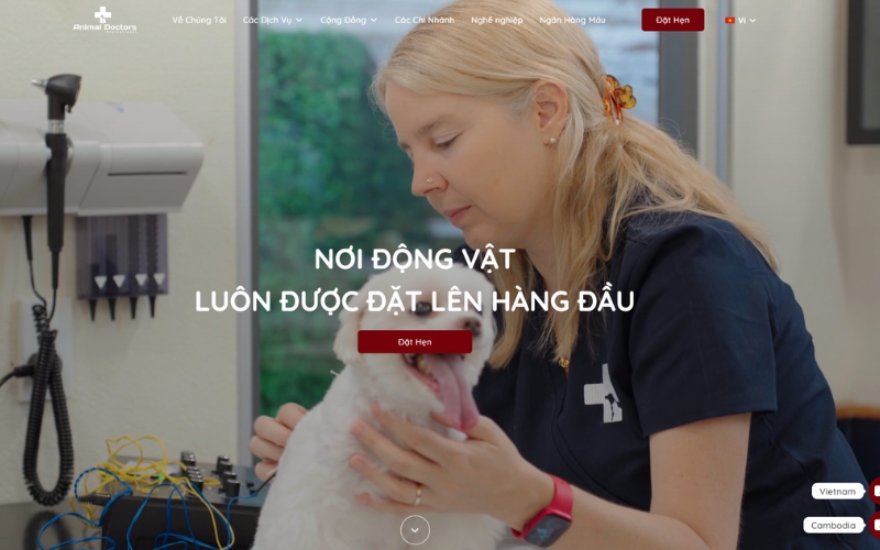 Giao diện website Bệnh viện Thú y Animal Doctors International